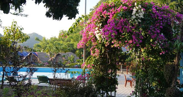 Un colorido arco de buganvillas enmarca una pequeña área de piscina con bungalows rústicos de fondo.