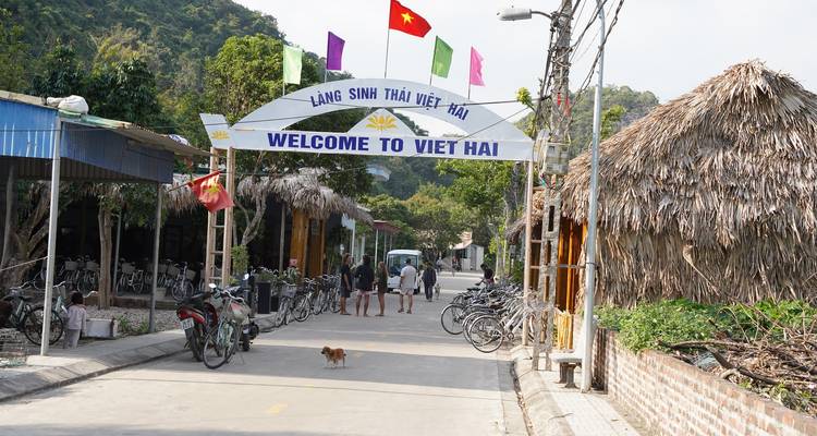 Croisière dans la baie de Lan Ha et excursion d'une journée en kayak - Mr Linh's Adventures 4