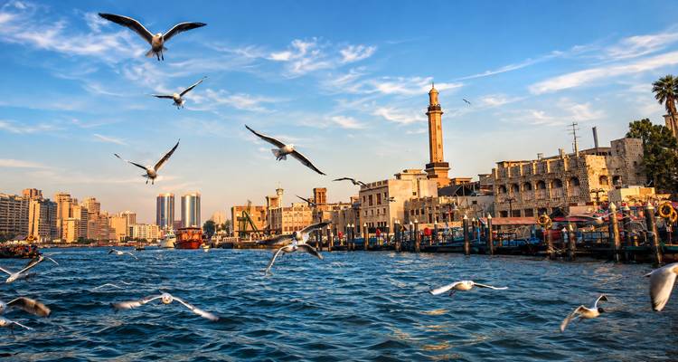 Les mouettes en vol au-dessus des eaux scintillantes de la Crique de Dubaï avec la ligne d'horizon et le minaret au loin.