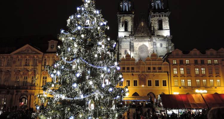 Illuminated Christmas tree in a historic square at night.