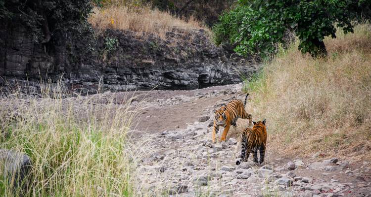 Private 16 Day Golden Triangle with Royal Rajasthan tour by car - Avtar India Tours 10