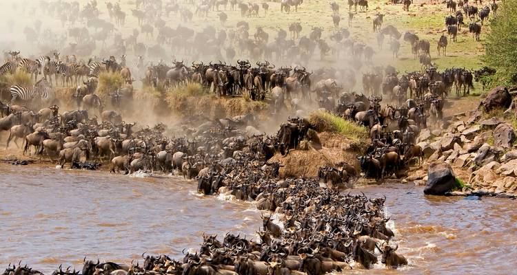 8 Days Uganda Gorillas & Masai Mara Safari - Primate World Safaris (U) Ltd 4