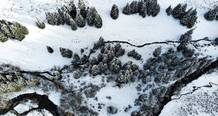 Zhetysu por descubrir: del desierto a la nieve del Tien Shan - Steppe and sky travel 2