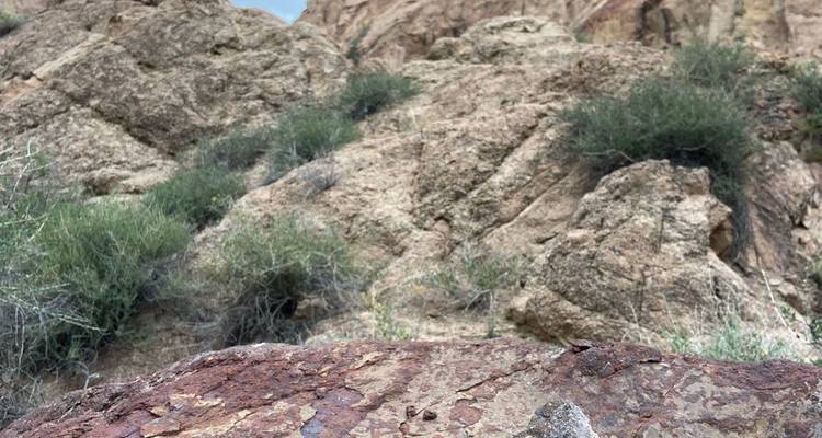 Zhetysu por descubrir: del desierto a la nieve del Tien Shan - Steppe and sky travel 10