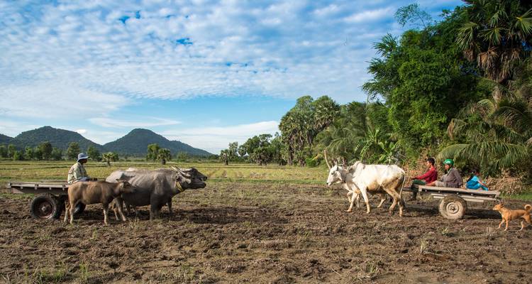 Vietnam's Highlands to Coastlines 21 days 20 nights - Mr Linh's Adventures 4