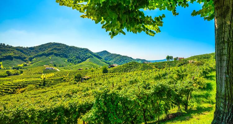 Private Wine Tour between Garda Lake and Prosecco Hills - Soleto Travel 2