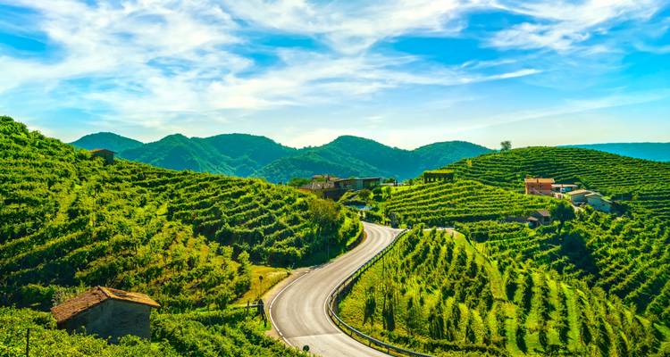 Private Wine Tour between Garda Lake and Prosecco Hills - Soleto Travel 6