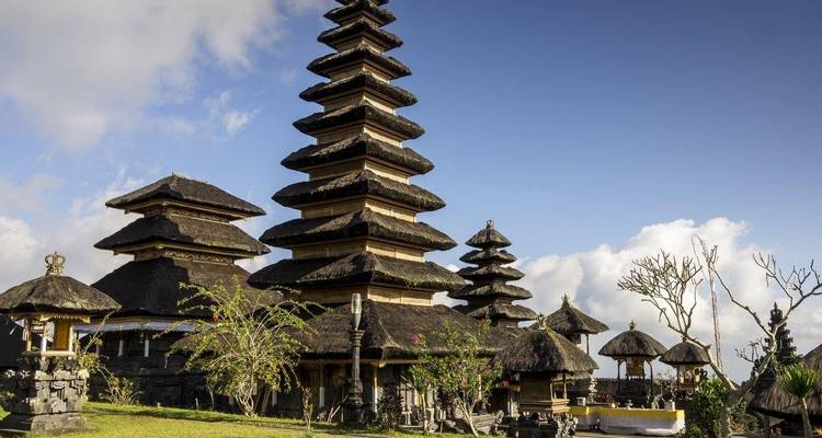 Lo más destacado de Bali, visita privada - Destination Services Indonesia 6