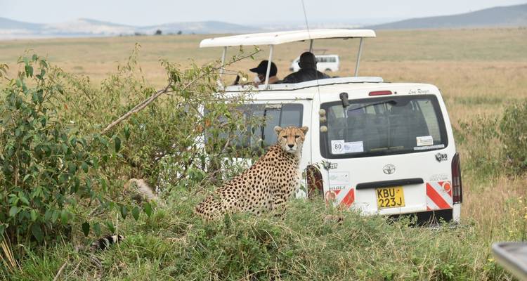 3 días y 2 noches en el Parque Nacional de Amboseli desde Nairobi con recogida gratuita en el aeropuerto - Perfect Wilderness Tours And Safaris 2