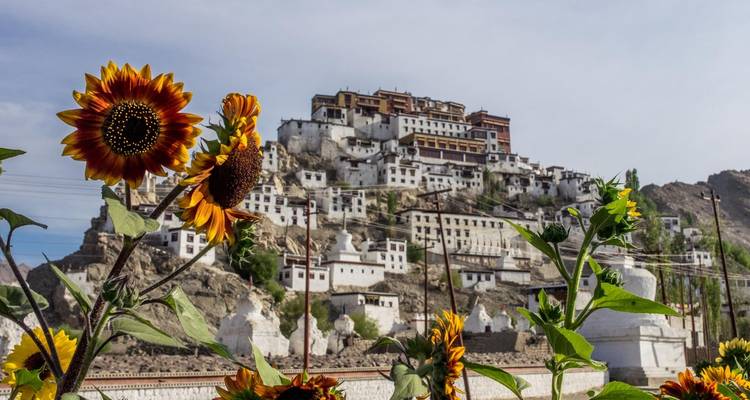 Exploración de Cachemira y Ladakh - Agora Voyages OPC Pvt Ltd 6