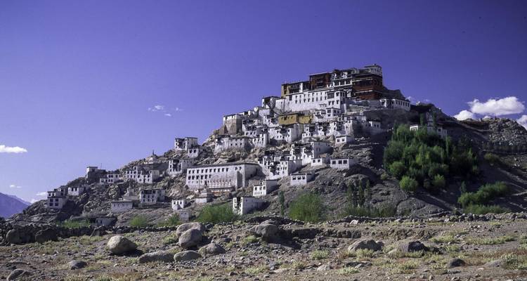 Exploración de Cachemira y Ladakh - Agora Voyages OPC Pvt Ltd 7