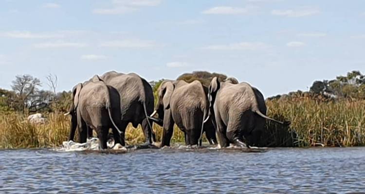 Paquete Nacional 5 días cataratas Victoria y Hwange - Little Roz Tours 10