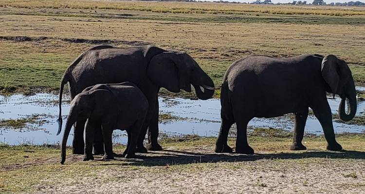 9 Days Victoria Falls, Hwange National Park & Kariba - Little Roz Tours 7