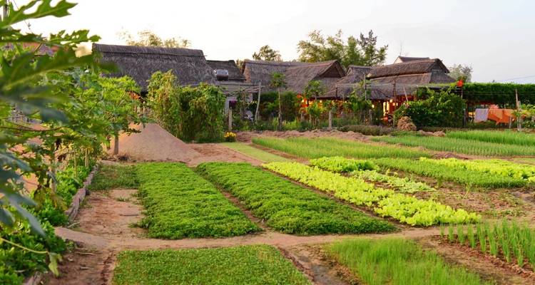 Vietnam 15 días súper ahorro - Hanói, Sapa, bahía de Ha Long, Hue, Hoi An, Sai Gon, delta del Mekong - Asia Focus Travel 8