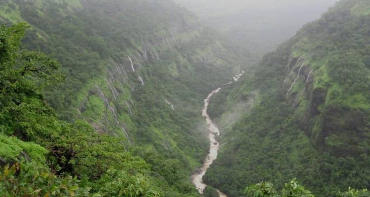 Vallée forestière avec une rivière sinueuse et des cascades