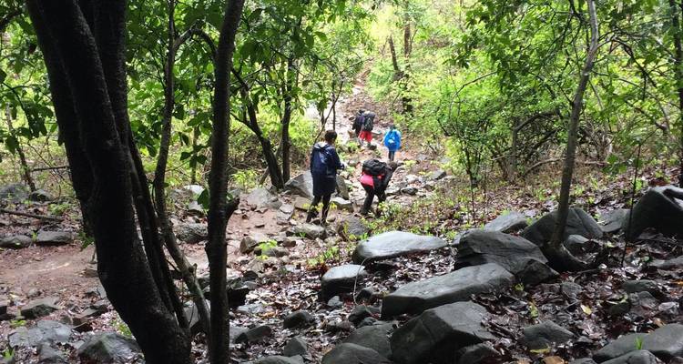 Randonneurs sur un sentier rocheux dans une forêt