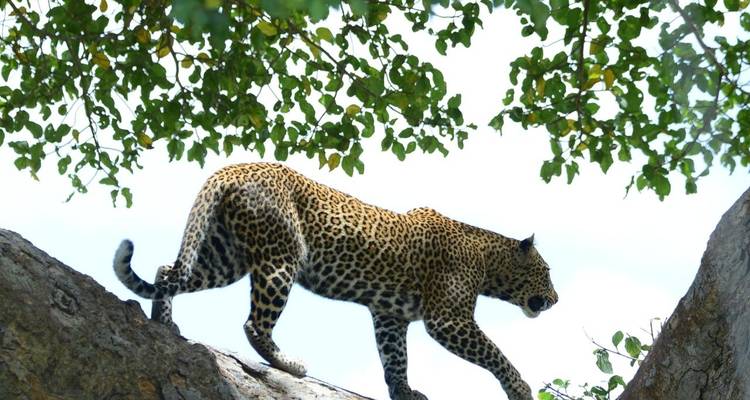 Aventure classique au Kenya - Classic Journeys Africa Ltd 4