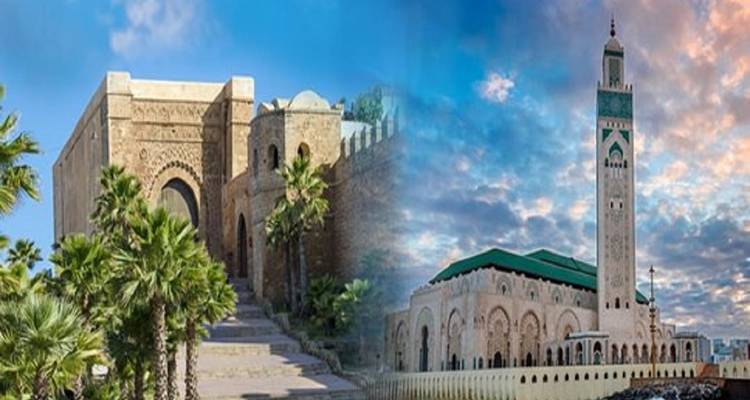 Mosque and historical buildings with palm trees.