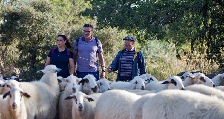 Randonnée autoguidée dans le parc naturel international du Douro - Authentic Trails 2
