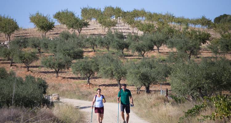 Randonnée autoguidée dans le parc naturel international du Douro - Authentic Trails 4