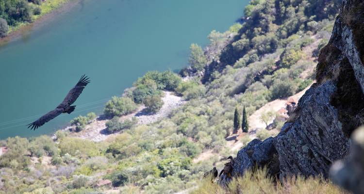 Randonnée autoguidée dans le parc naturel international du Douro - Authentic Trails 7
