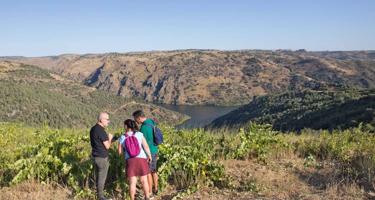 Randonnée autoguidée dans le parc naturel international du Douro - Authentic Trails 10