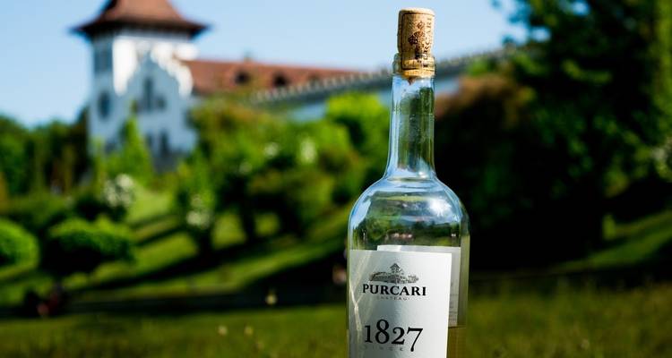 5 day-All inclusive Moldova Wine Tour - MoldovaTovisit 1