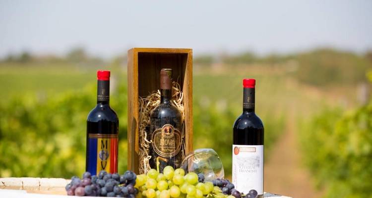 5 day-All inclusive Moldova Wine Tour - MoldovaTovisit 9