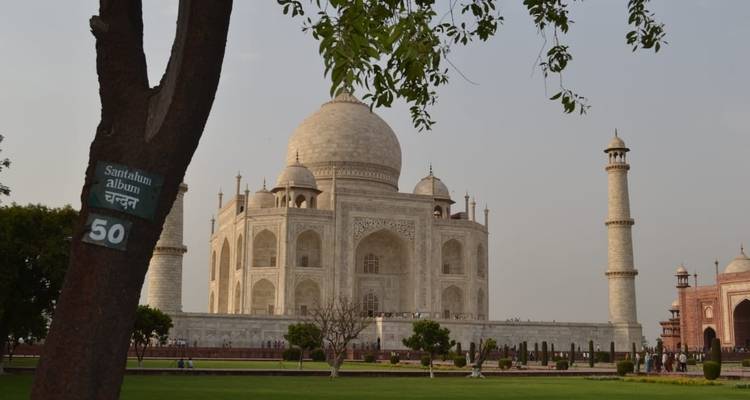 Desde Delhi: Circuito privado al triángulo de oro con alojamiento - Travel Creators Of India 3