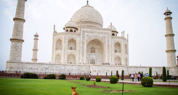 Desde Delhi: Circuito privado al triángulo de oro con alojamiento - Travel Creators Of India 2