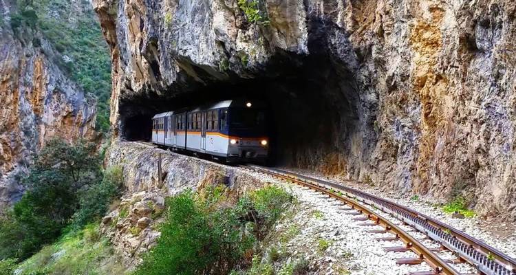 Train emerging from a rocky tunnel in a forested area.