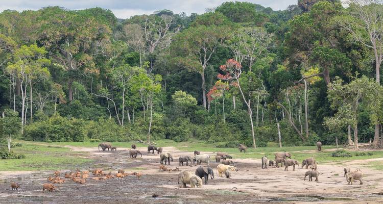Mout Cameroun Trekking Aventure 10J/9N - Across Africa Tours & Travel 8