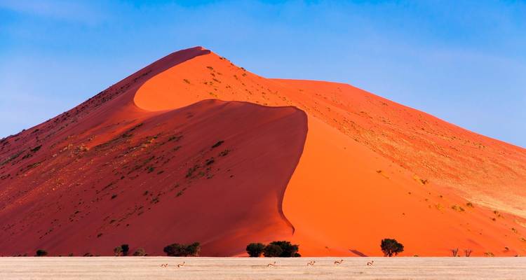 Luxury Motobike Nambian Adventure. 9D/8N - Across Africa Tours & Travel 2