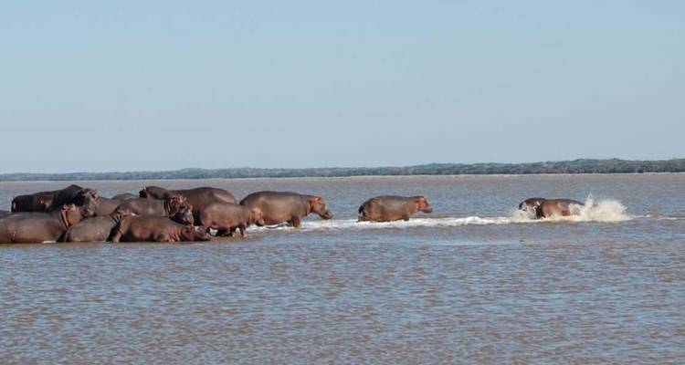 Camping pour les amoureux et l'extension sociale - 14 jours - Across Africa Tours & Travel 3