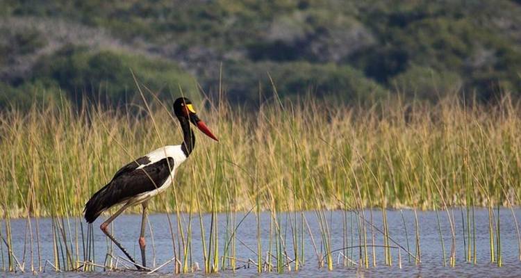 Camping pour les amoureux et l'extension sociale - 14 jours - Across Africa Tours & Travel 4