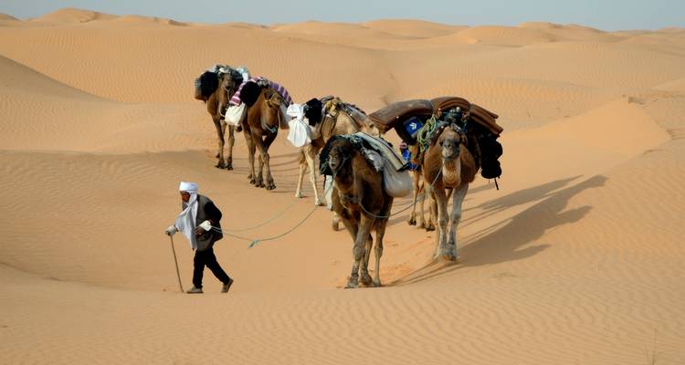 Camel Riding Adventure at Great Oriental Erg 7 Days/ 6 Nights - Across Africa Tours & Travel 1
