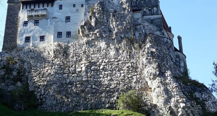 Discover Medieval and Wild Transylvania, Meet the Brown Bears, and Count Dracula - Business Trans Protocol 8