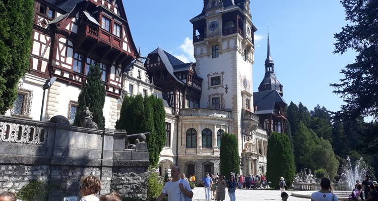 Discover Medieval and Wild Transylvania, Meet the Brown Bears, and Count Dracula - Business Trans Protocol 2