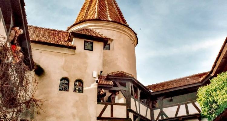 Discover Medieval and Wild Transylvania, Meet the Brown Bears, and Count Dracula - Business Trans Protocol 6
