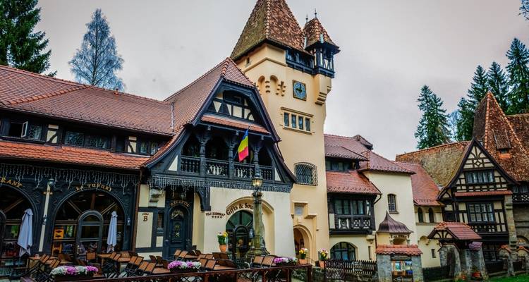 Discover Medieval and Wild Transylvania, Meet the Brown Bears, and Count Dracula - Business Trans Protocol 9
