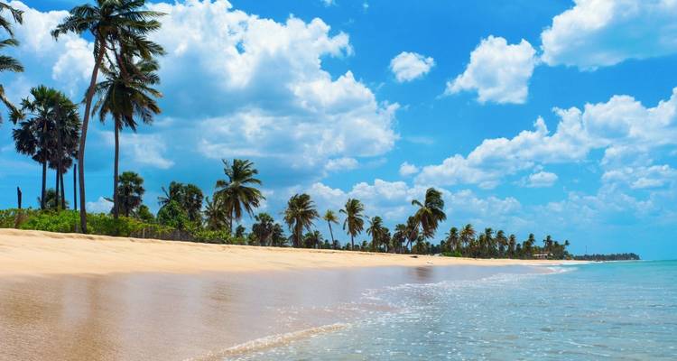 Paquete turístico de 12 días en Sri Lanka - Holiday Lanka Tours 4