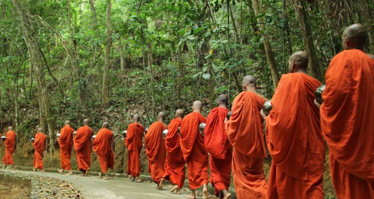 Paquete turístico de 12 días en Sri Lanka - Holiday Lanka Tours 3