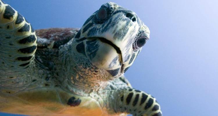 Getaway to Maldives, Private Tour - Aitken Spence Travel 4