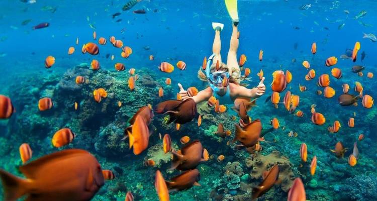 Maldives Magic, Private Tour - Aitken Spence Travel 1