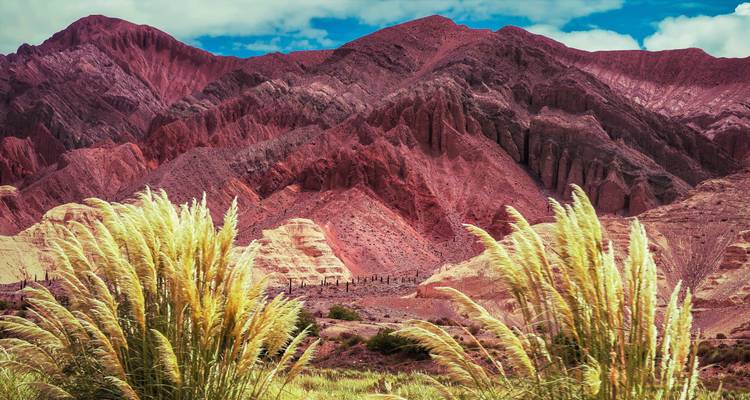 Formaciones montañosas coloridas con pastos en primer plano.