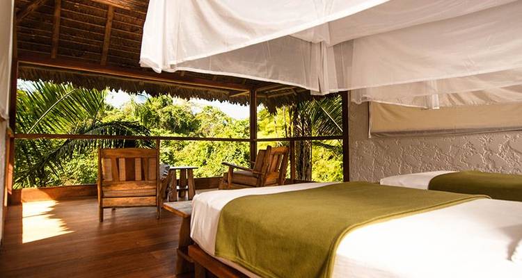 Albergue superior amazónico de Puerto Maldonado 5D/4N - desde Puerto Maldonado - Bamba Travel 9