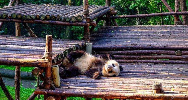 Aventure en groupe de Hong Kong à Pékin 17J/16N - Bamba Travel 8