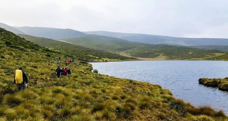 Trek du Mont Kenya - Route du Sirimon 4J/3N - Bamba Travel 10