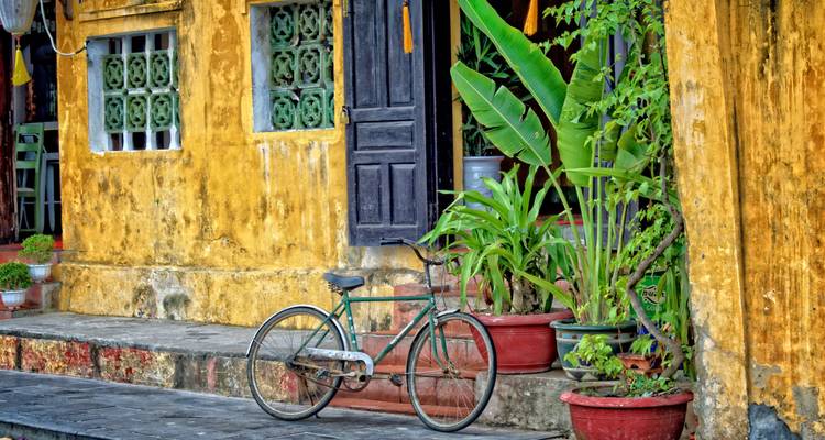 Una bicicleta vintage verde se apoya contra una pared mostaza desgastada con plantas en macetas exuberantes alrededor.