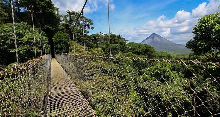 Panama City to San Jose Travel Pass - Bamba Travel 10